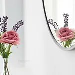Aesthetic