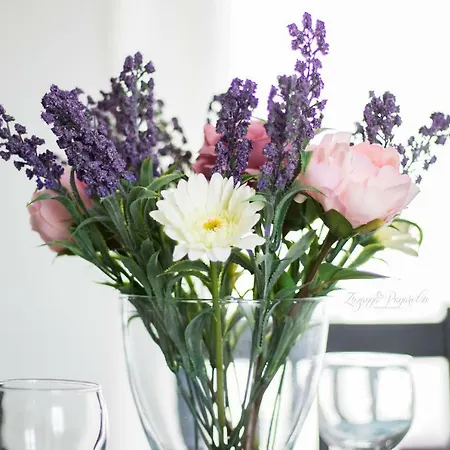 Aesthetic Appartement Karpathos